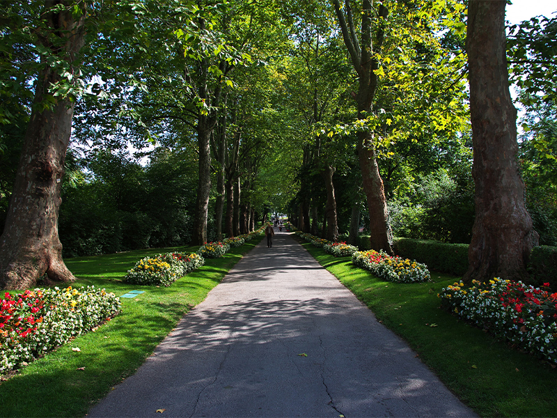 Central Landscaped Themed Gardens